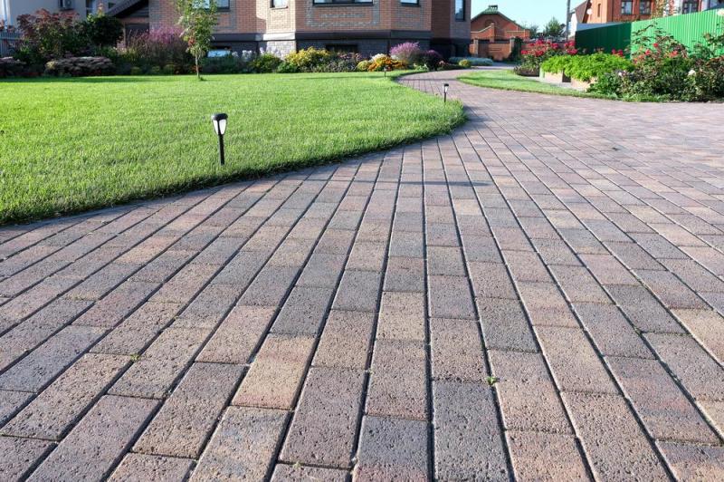 Cr&eacute;er un mur v&eacute;g&eacute;tal ext&eacute;rieur : guide des meilleures pratiques