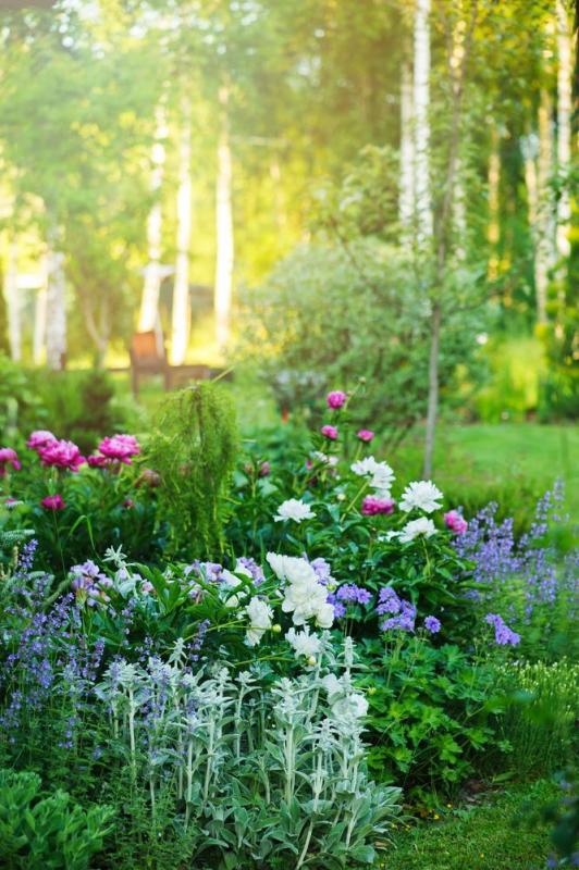 Composer un massif floral durable dans un jardin pr&egrave;s de Chemill&eacute;-en-Anjou